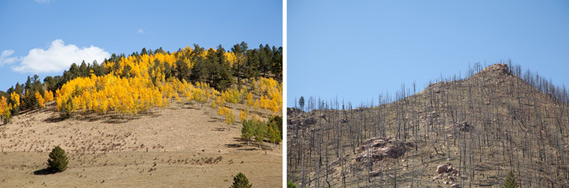 Fire Diptych