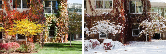Season Diptych